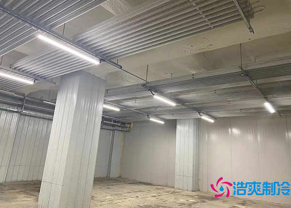 600噸貨物需要建造多大的冷藏庫？.jpg